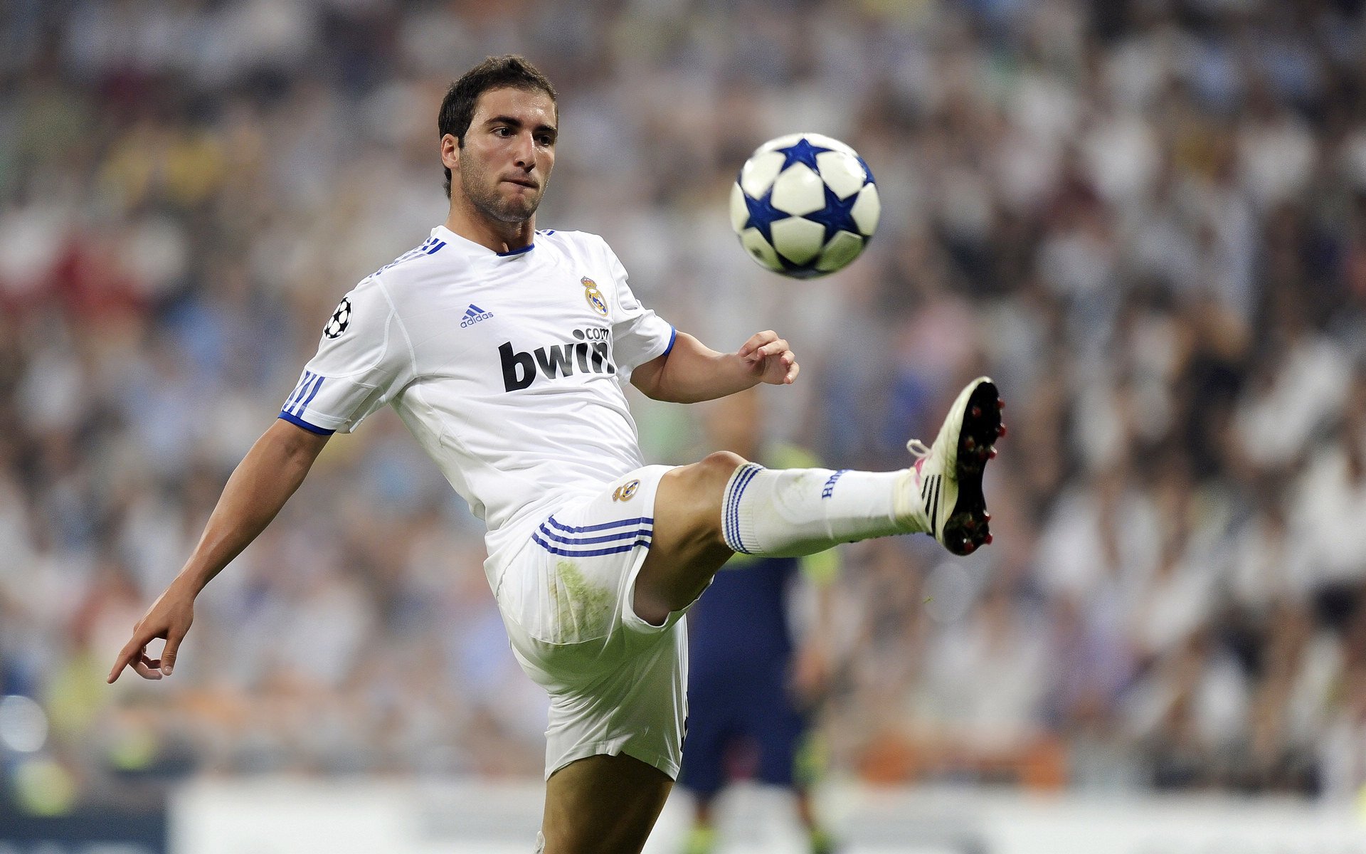 “美洲狮队的强势表现标志着阿根廷橄榄球的崭新起点”