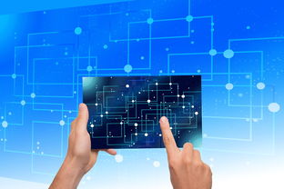 中国篮球教练员战术执行力提升路径及方法研究，如何提高篮球教练员水平